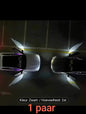 auto-lichtjes vleugels